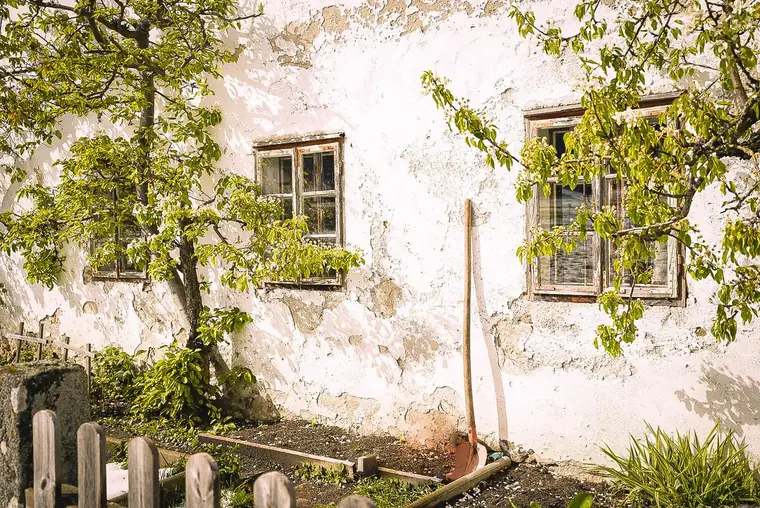 Altes Bauernhaus mit abblätterndem Putz, überwachsen von grünen Zweigen
