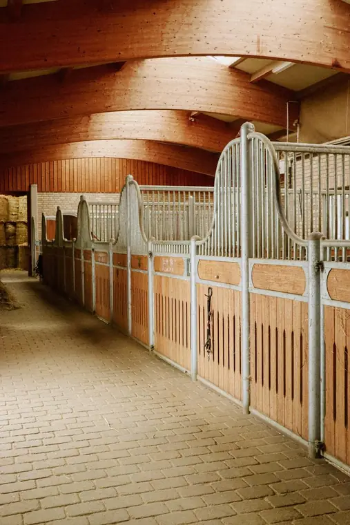 Heller Pferdestall mit Boxen aus Holz und Metall