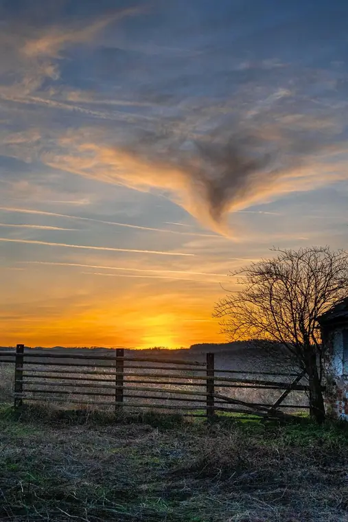 Sonnenuntergang über einem Weidezaun mit kahlem Baum